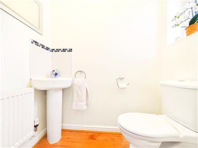 Picture 21